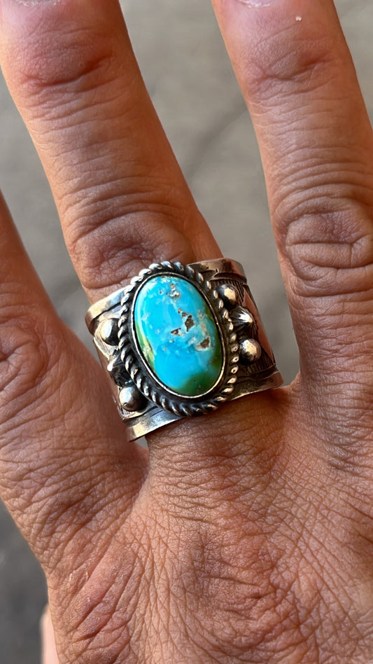 Sonoran mountain turquoise